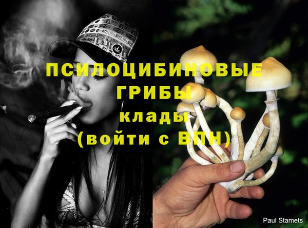 гидропоника Армянск